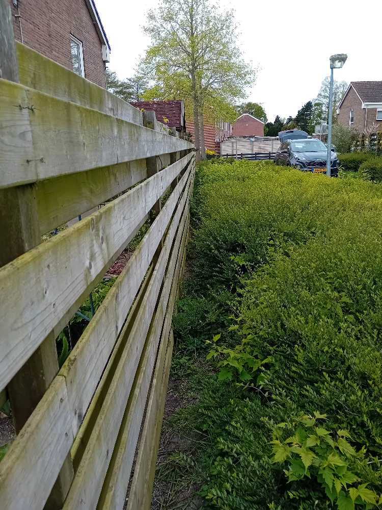 Foto bij melding 5048525 · Groen en bomen