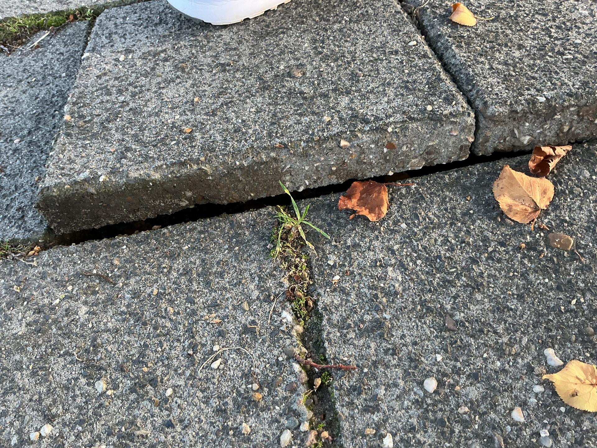 Foto bij melding 5656298 · Wegen, fietspaden, en stoepen