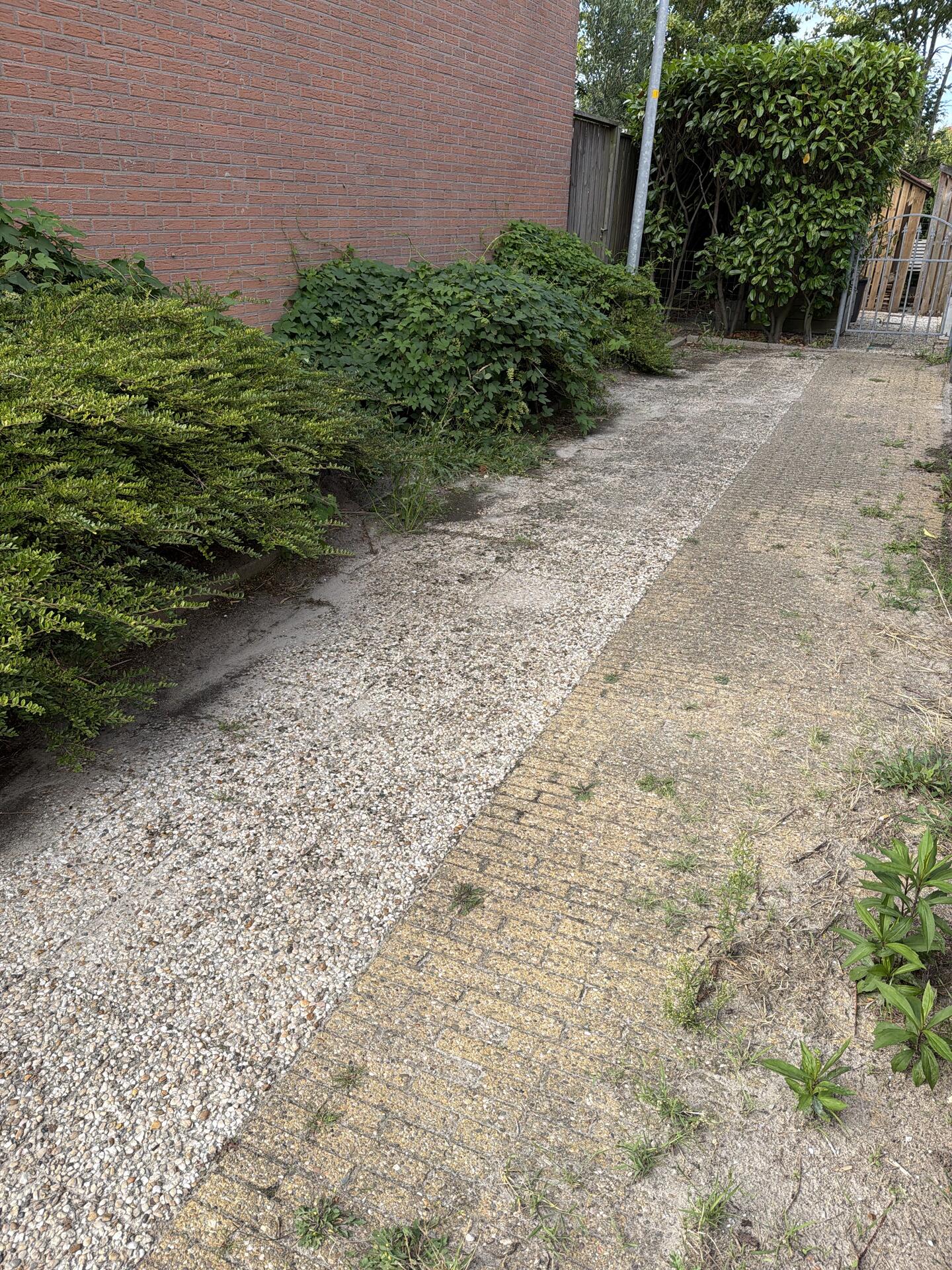Foto bij melding 5535327 · Groenonderhoud