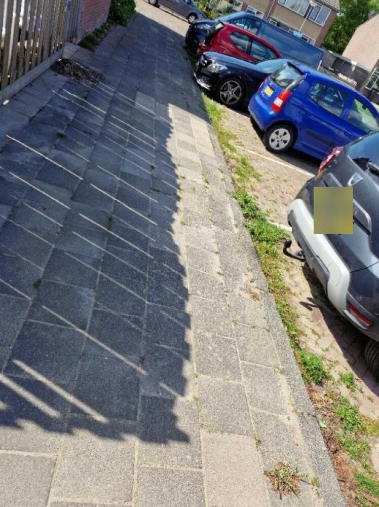 Foto bij melding 5125020 · Openbaar groen
