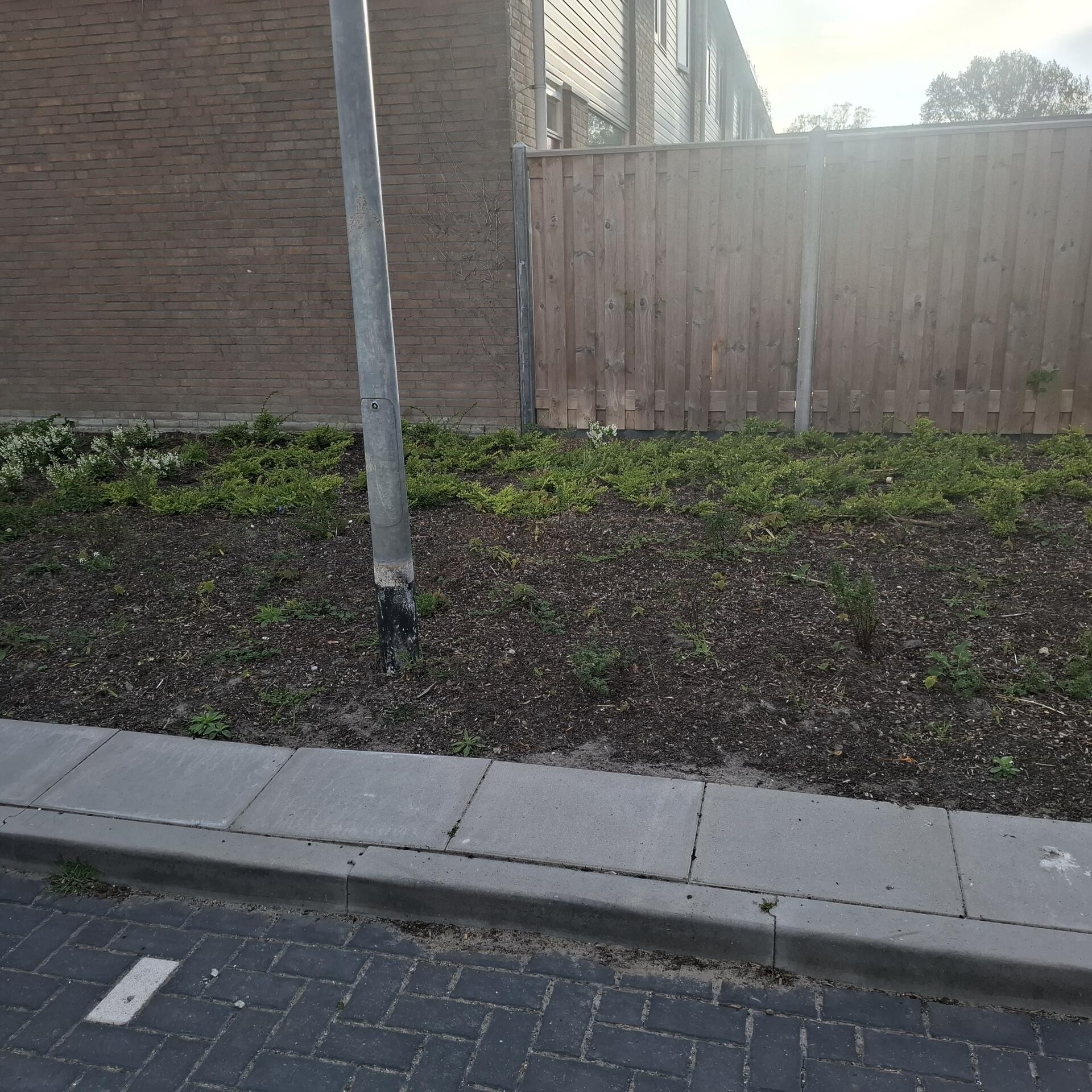 Foto bij melding 5076713 · Groenonderhoud