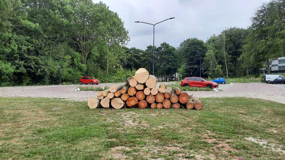 Foto bij melding 5565202 · Openbaar groen