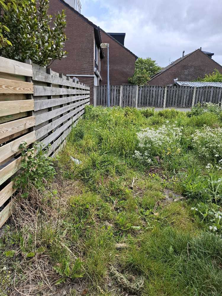 Foto bij melding 5099181 · Groenonderhoud