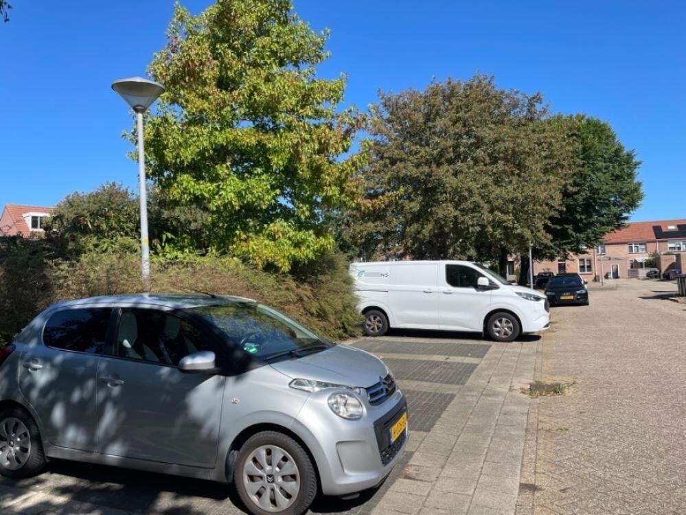 Foto bij melding 5500905 · Groenonderhoud