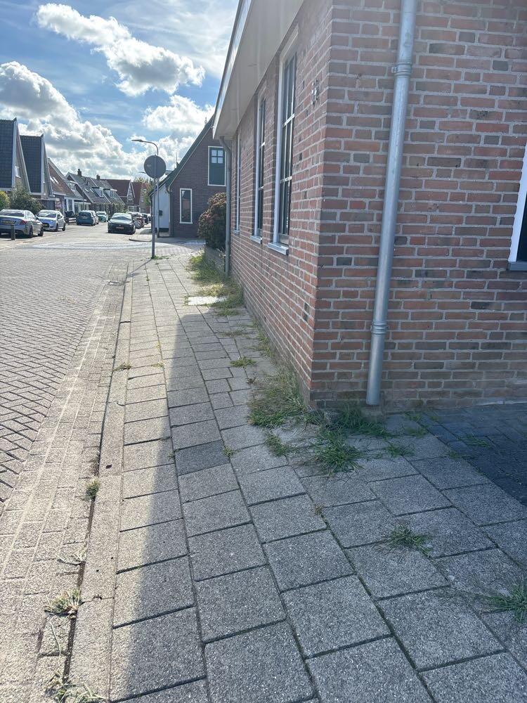 Foto bij melding 5530794 · Openbaar groen