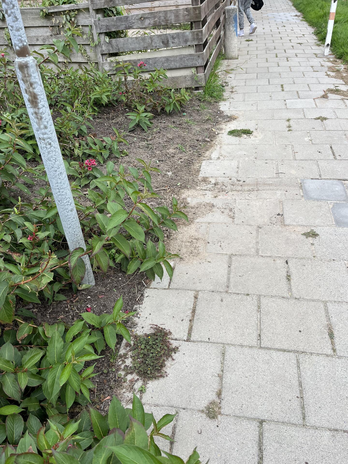 Foto bij melding 5639632 · Openbaar groen