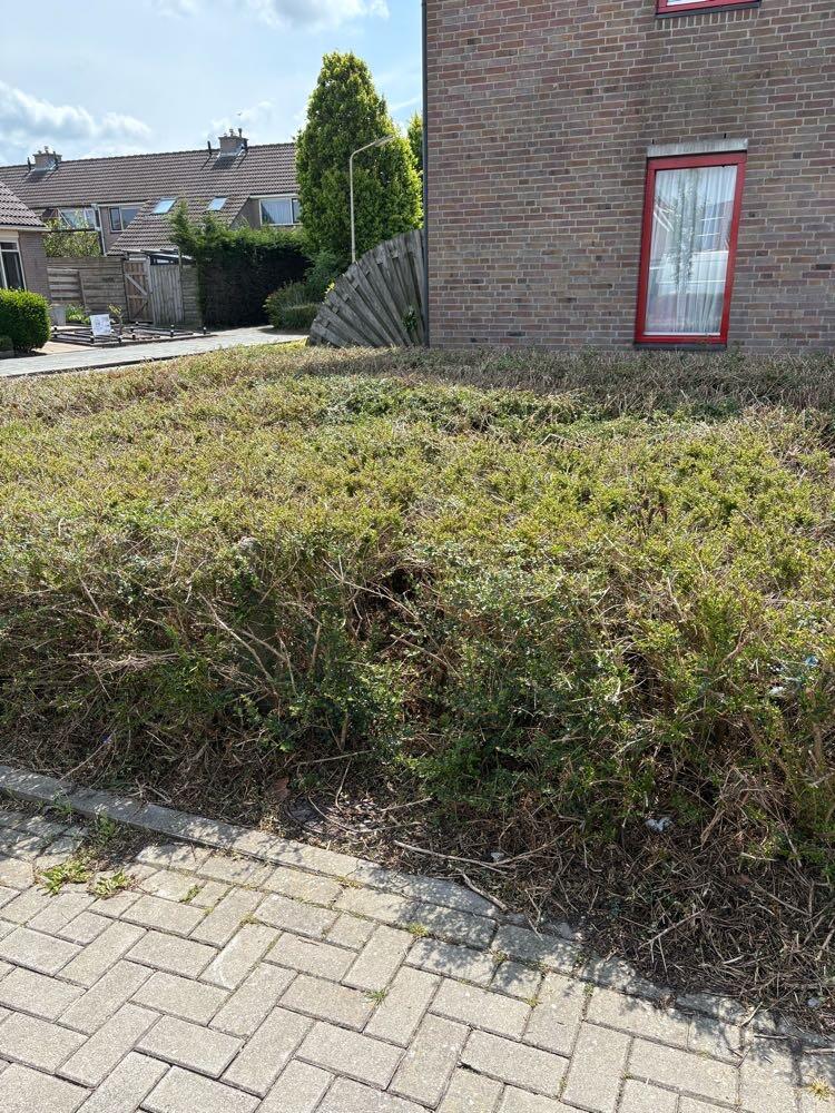 Foto bij melding 5116544 · Verkeer