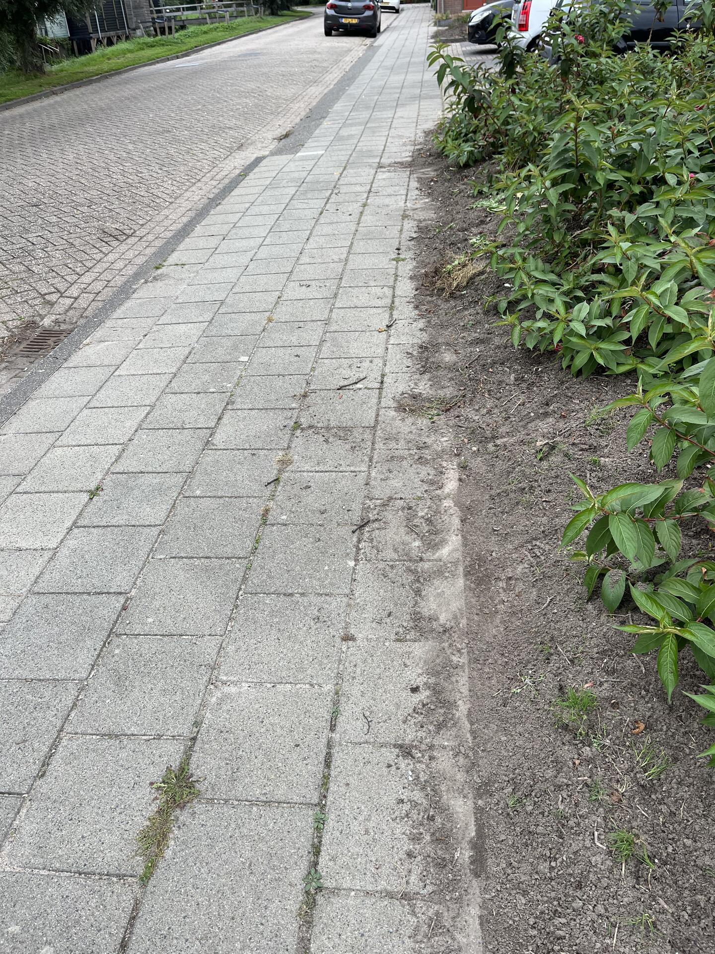 Foto bij melding 5639632 · Openbaar groen