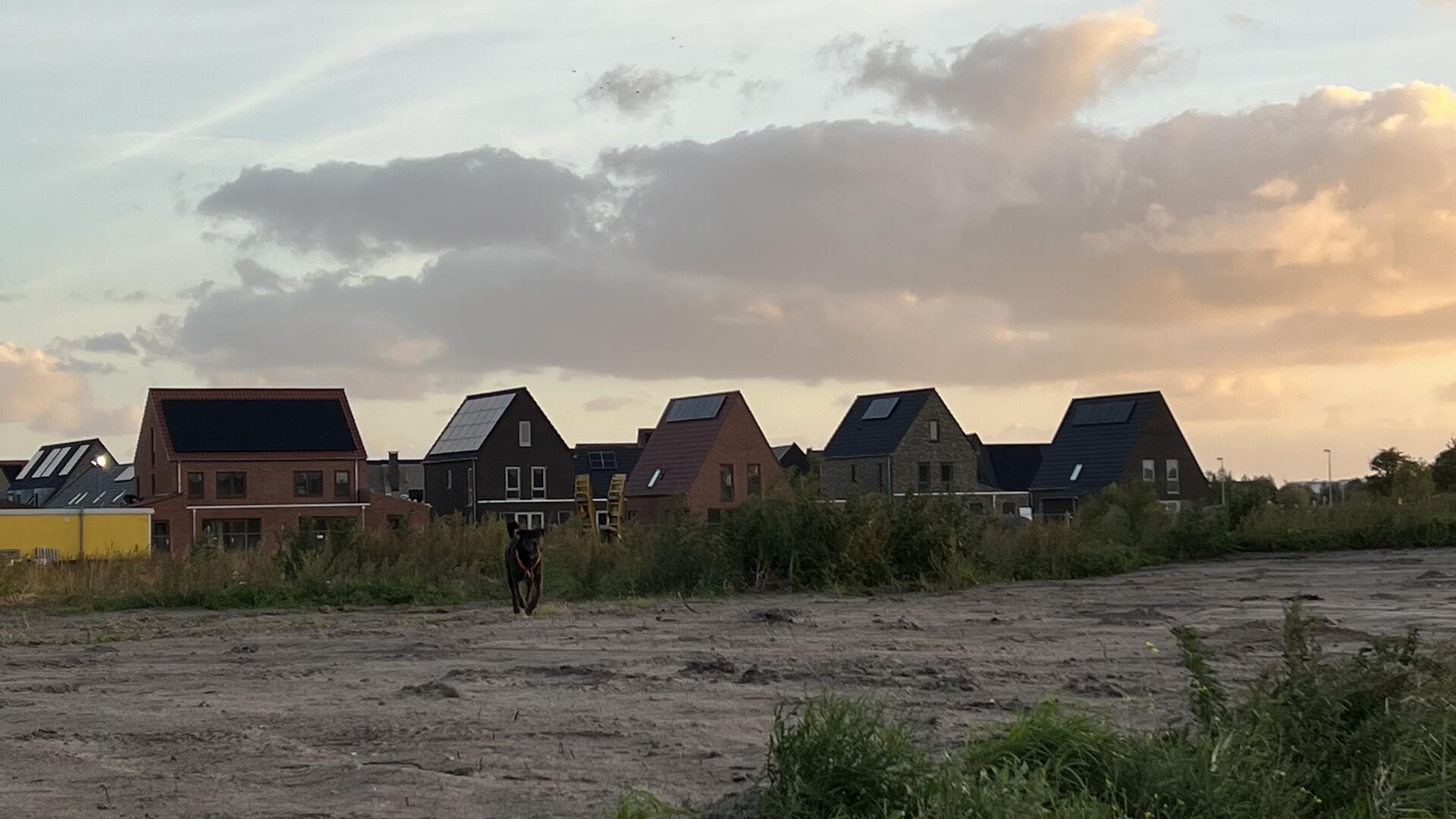 Foto bij melding 5651731 · Wegen en paden