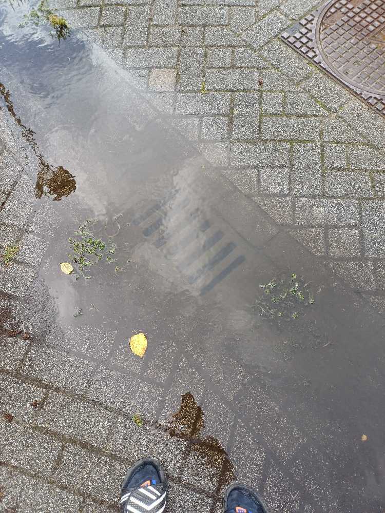 Foto bij melding 5526893 · Riolering