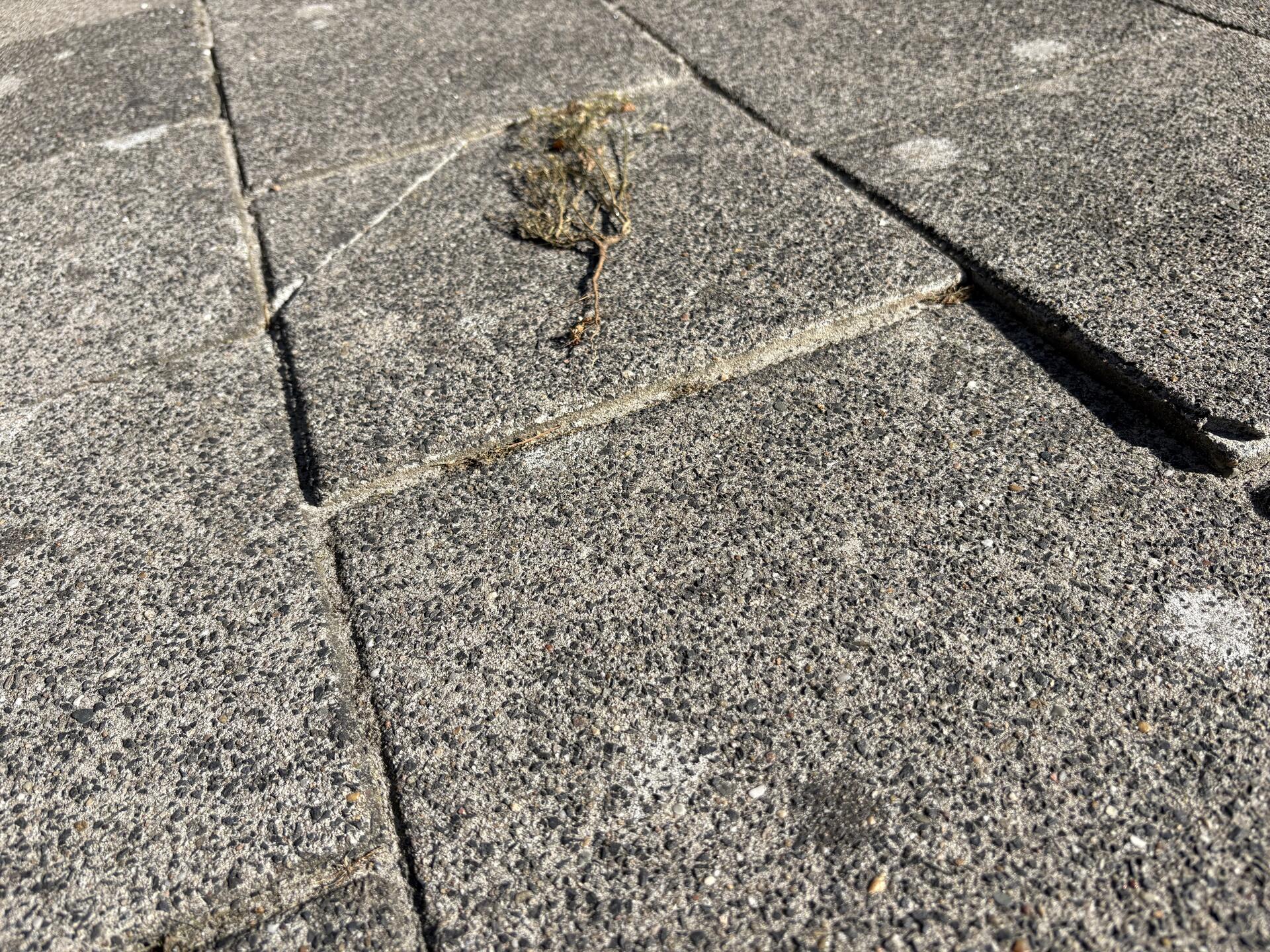 Foto bij melding 5492102 · Wegen, fietspaden, en stoepen
