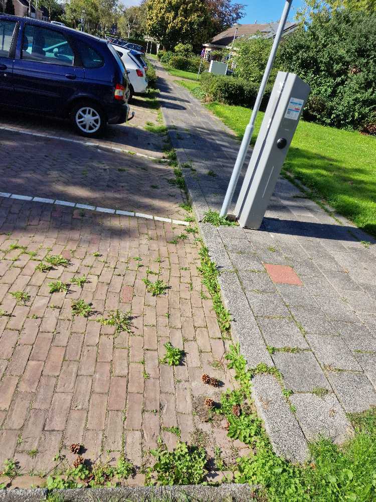 Foto bij melding 5602201 · Openbaar groen