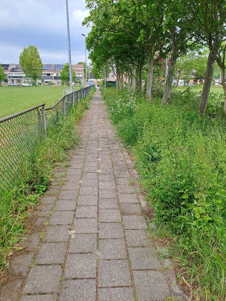 Foto bij melding 5116199 · Openbaar groen