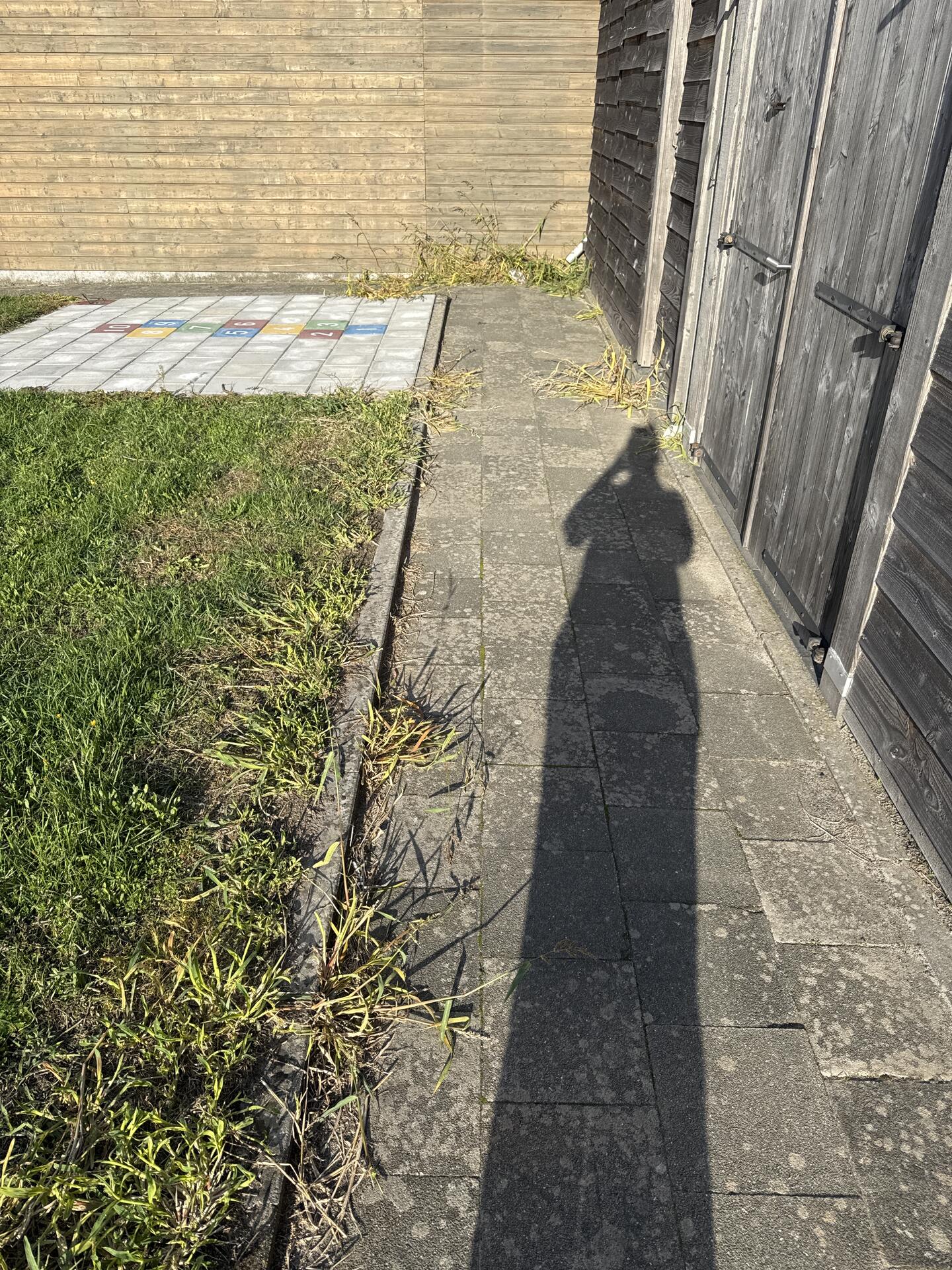 Foto bij melding 5549042 · Groenonderhoud