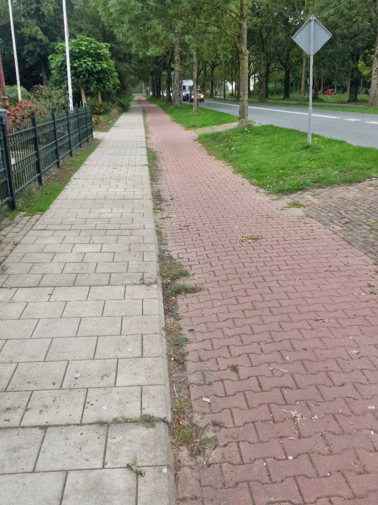 Foto bij melding 5606318 · Openbaar groen