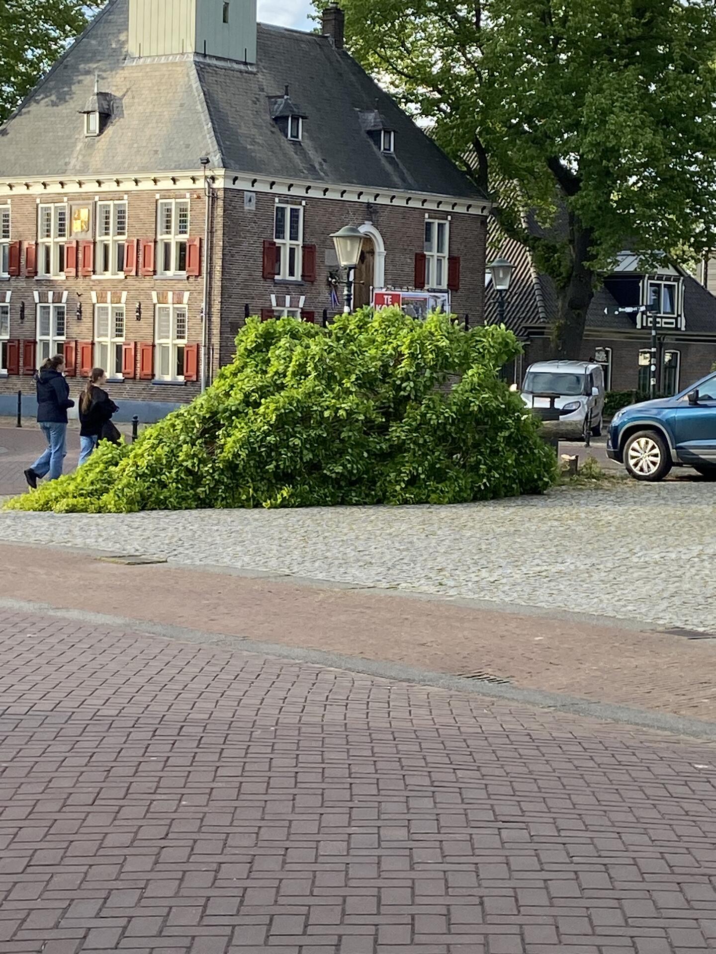 Foto bij melding 5111439 · Openbaar groen
