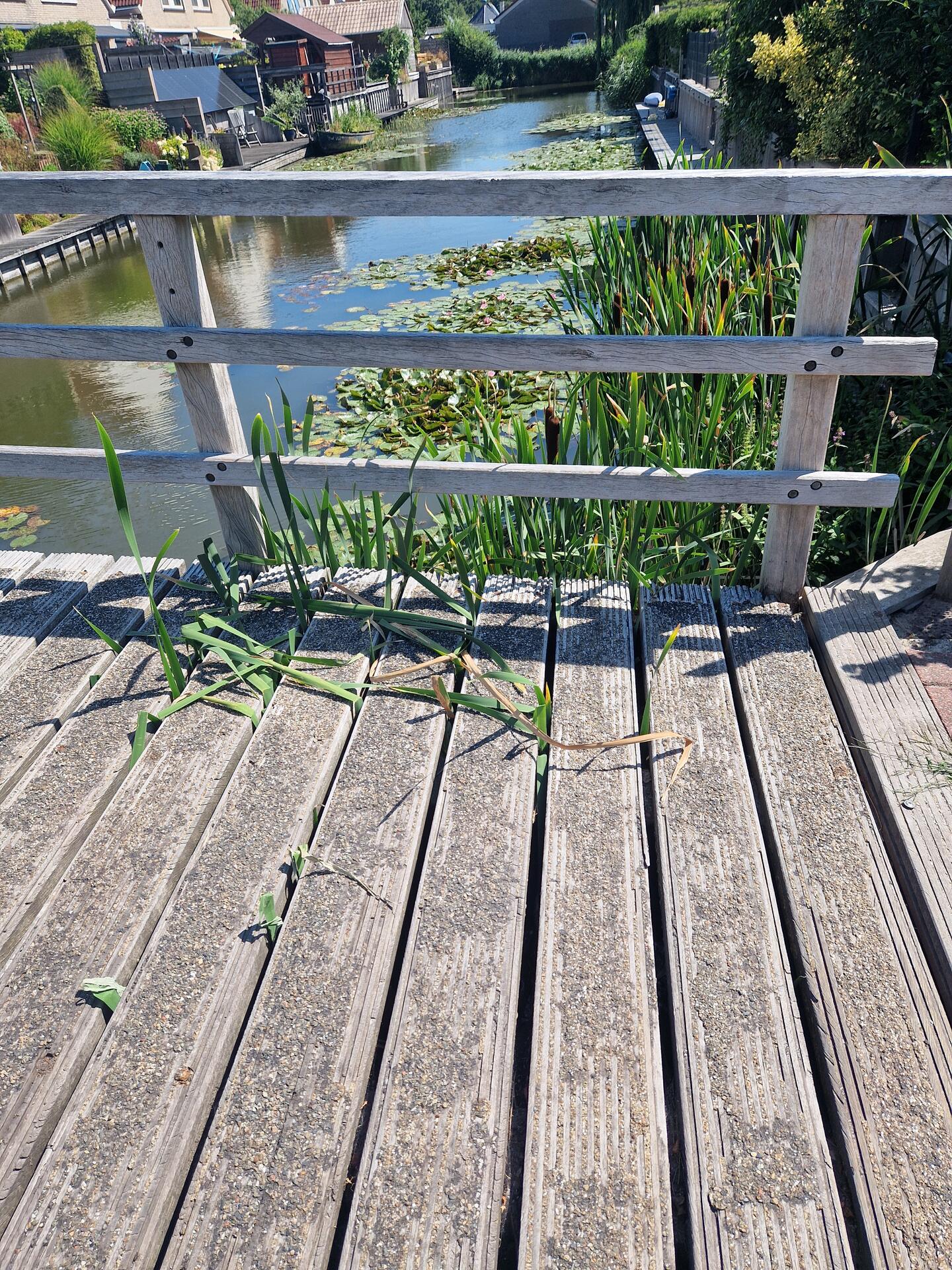 Foto bij melding 5458144 · Openbaar groen