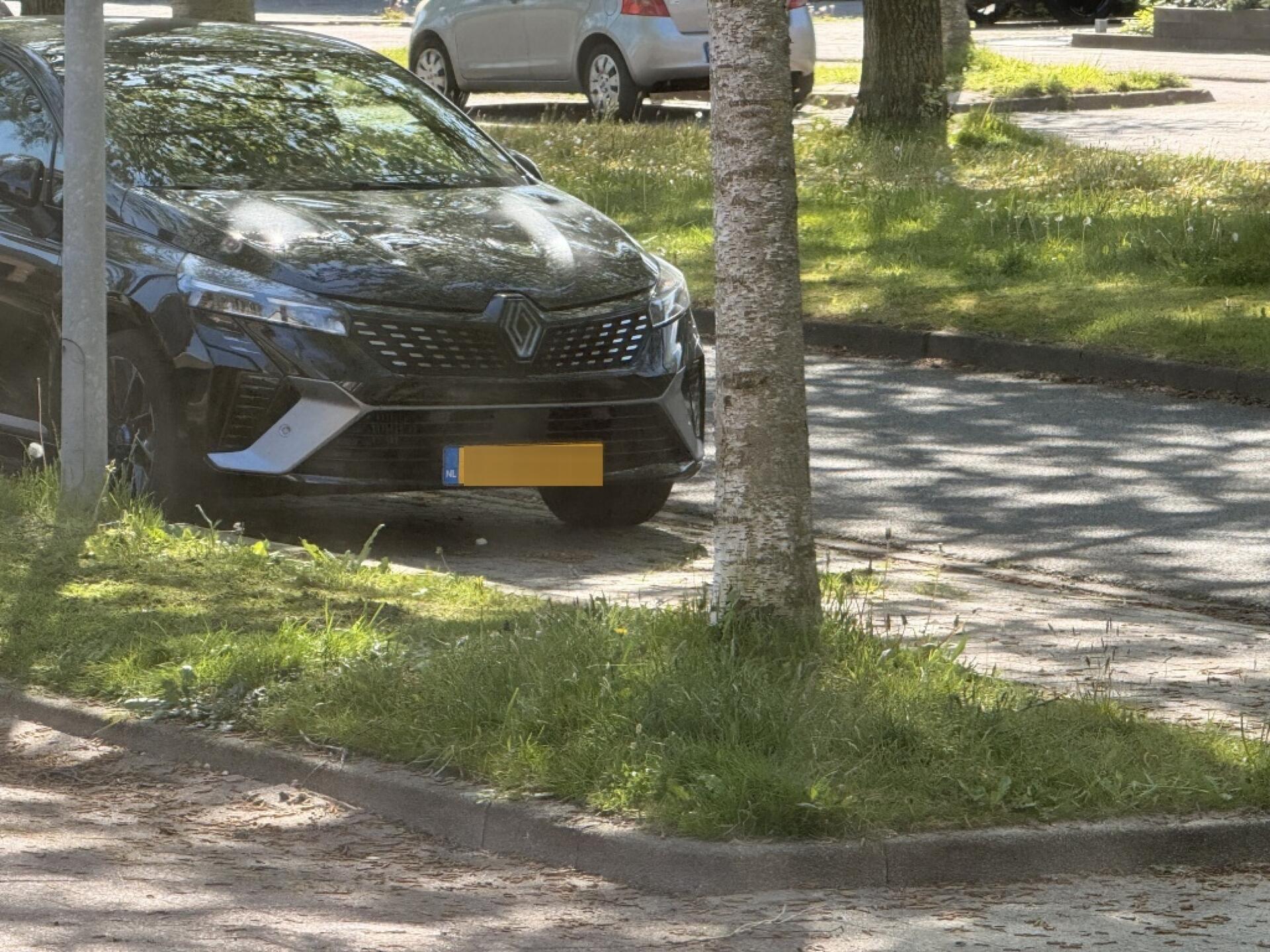 Foto bij melding 5074779 · Groenonderhoud