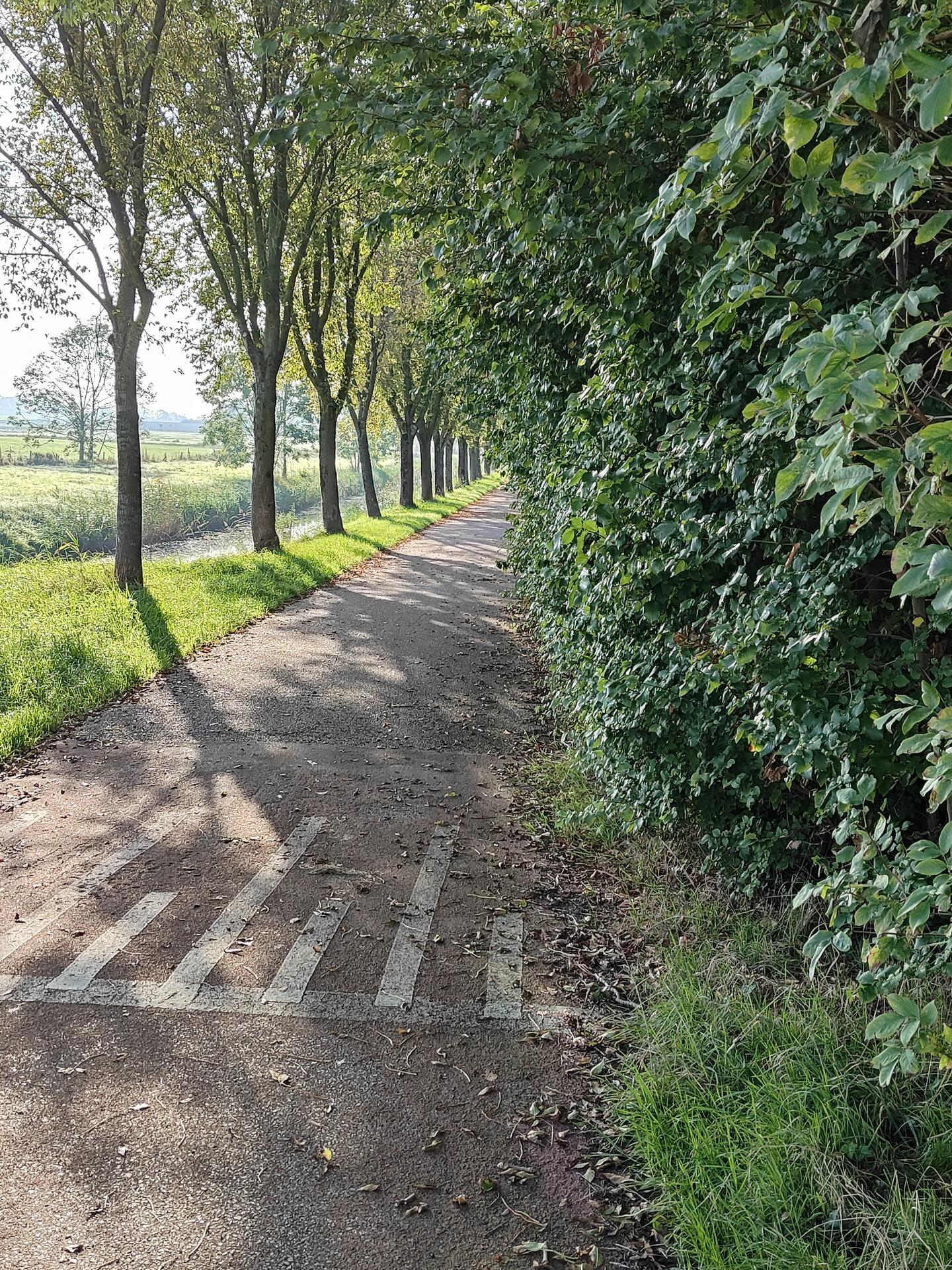 Foto bij melding 5655373 · Wegen, fietspaden, en stoepen