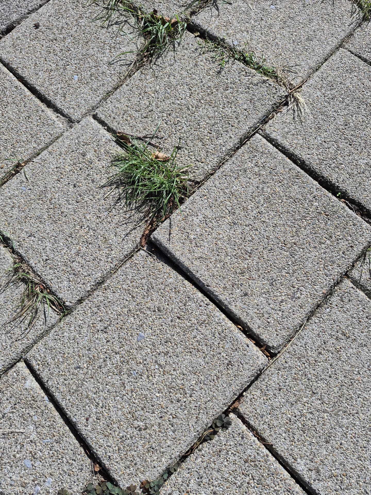 Foto bij melding 5551446 · Wegen en paden