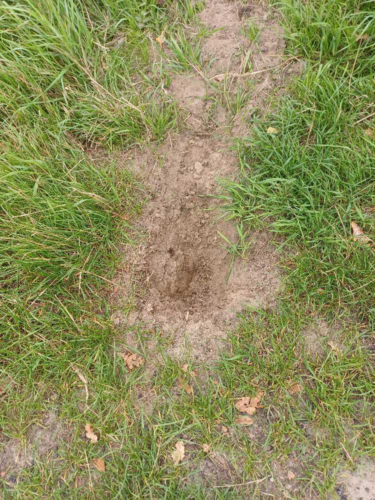 Foto bij melding 5554685 · Wegen, fietspaden, en stoepen