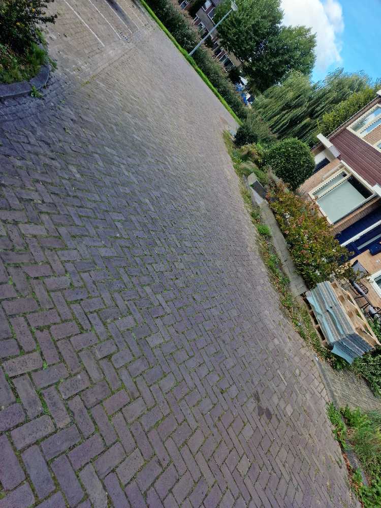 Foto bij melding 5602160 · Openbaar groen