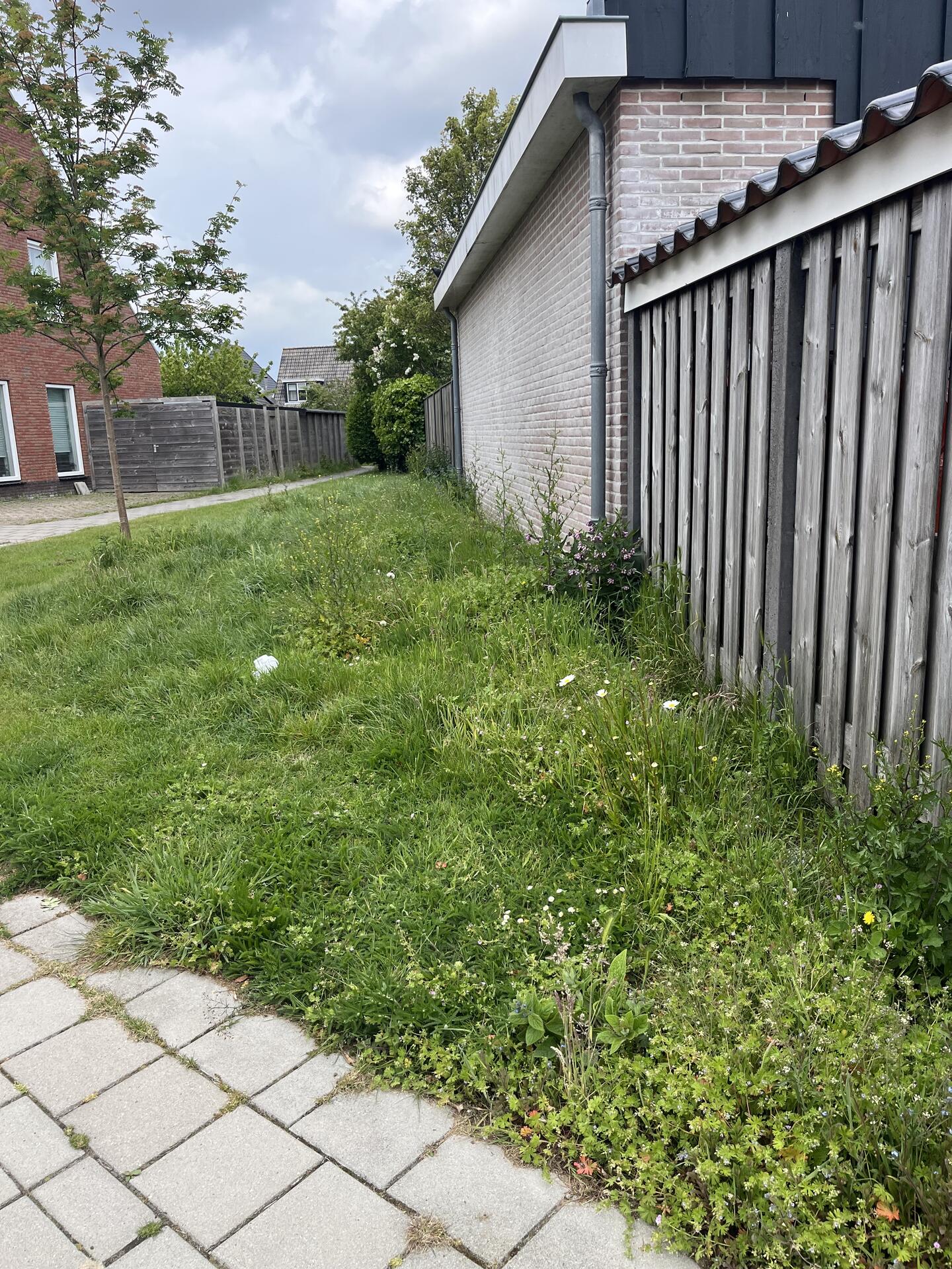 Foto bij melding 5116232 · Openbaar groen
