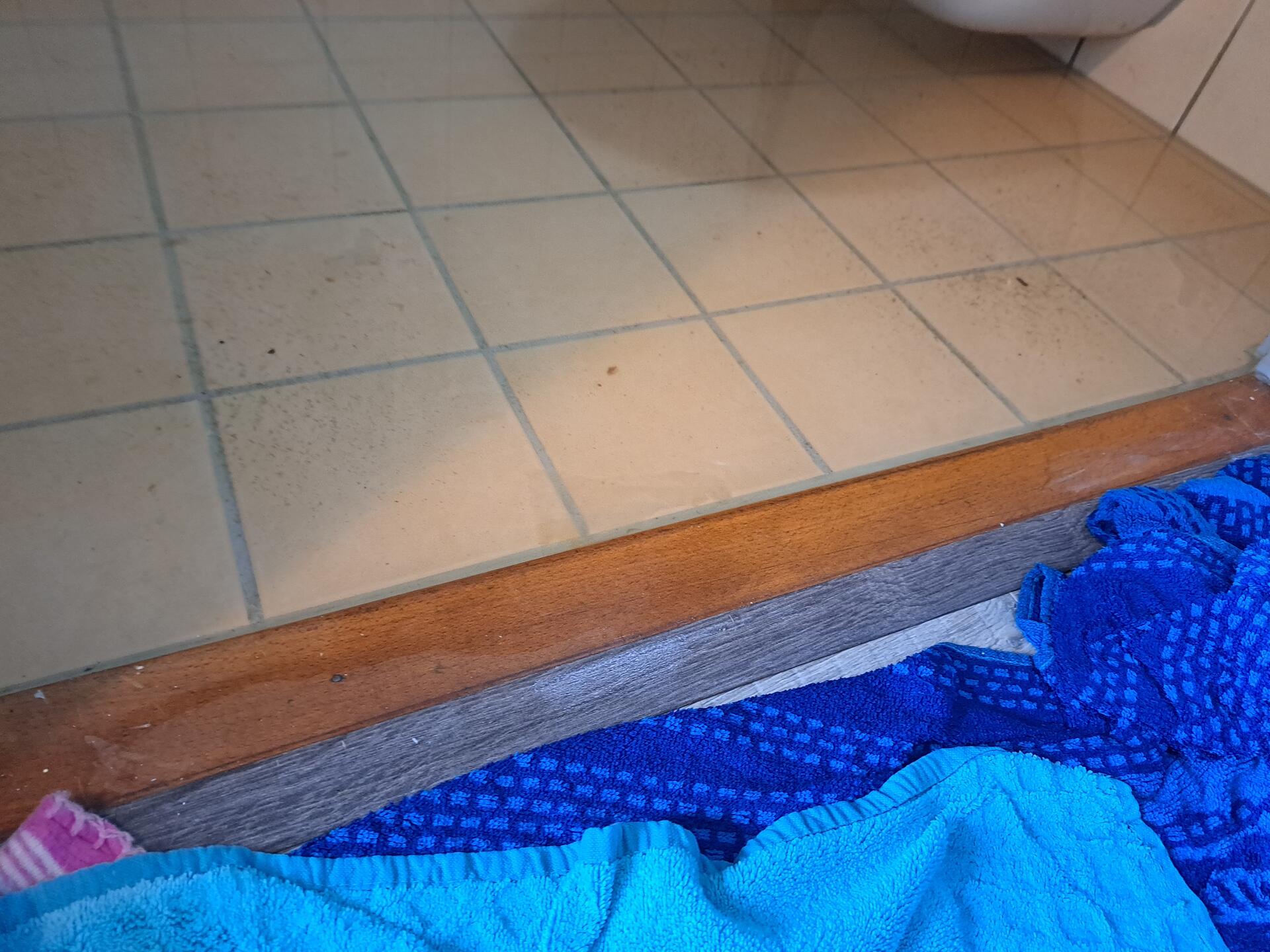Foto bij melding 5525011 · Riolering