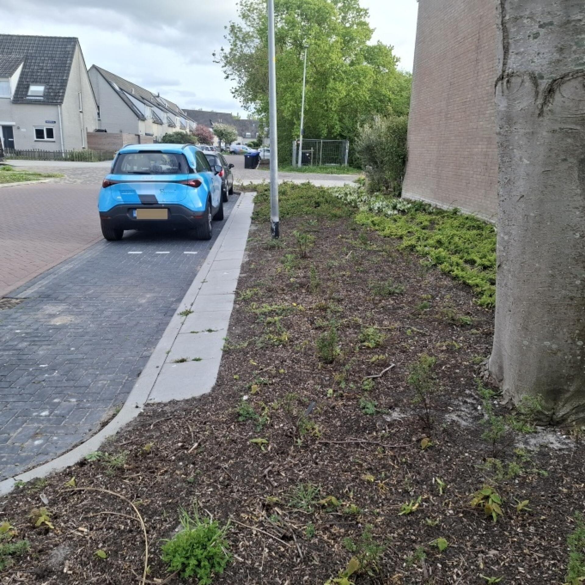 Foto bij melding 5076713 · Groenonderhoud