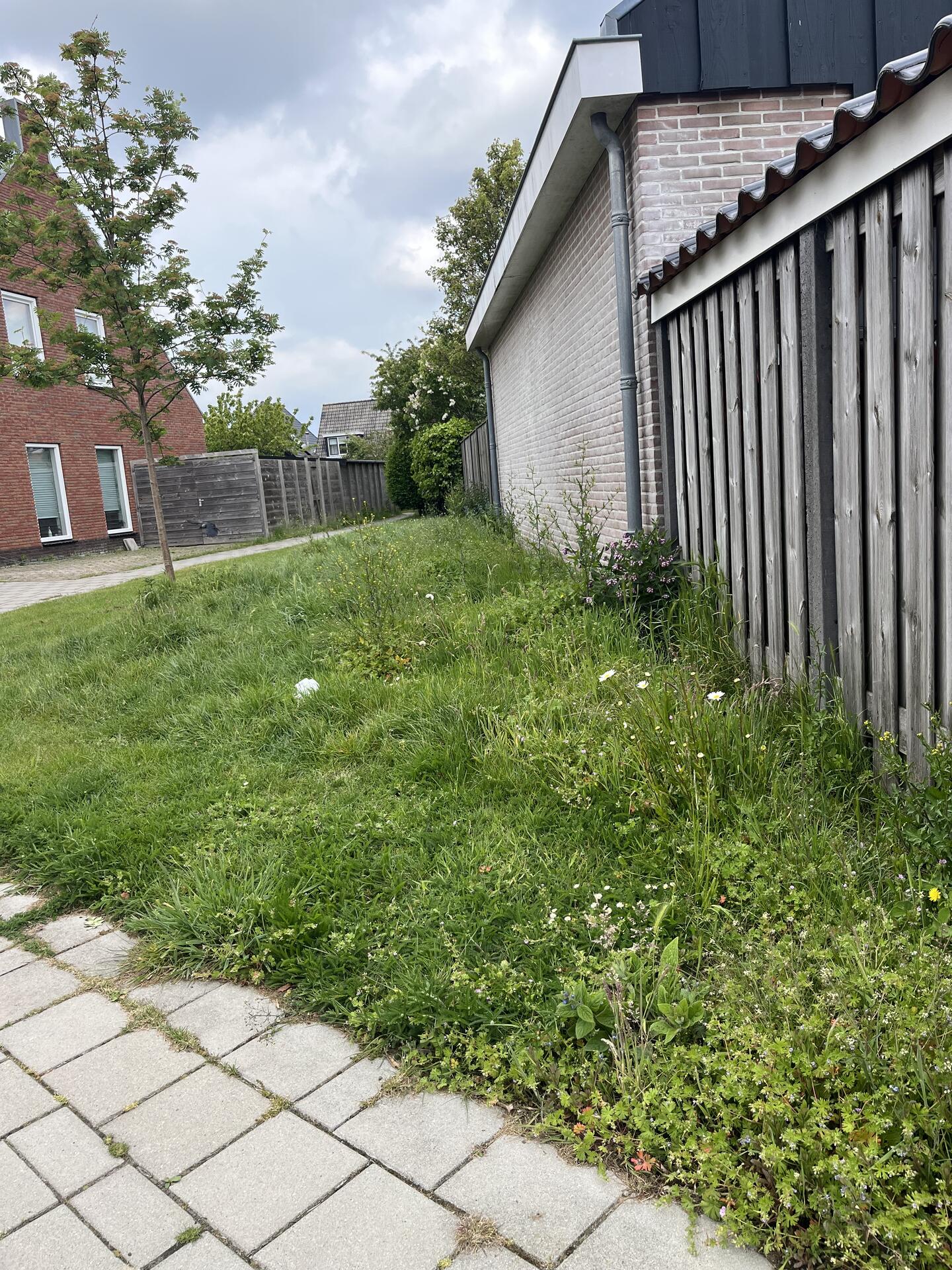 Foto bij melding 5116232 · Openbaar groen
