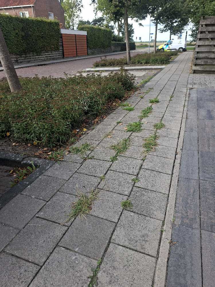 Foto bij melding 5533227 · Wegen, fietspaden, en stoepen