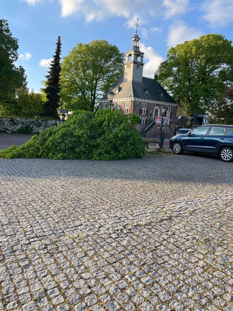 Foto bij melding 5111281 · Openbaar groen