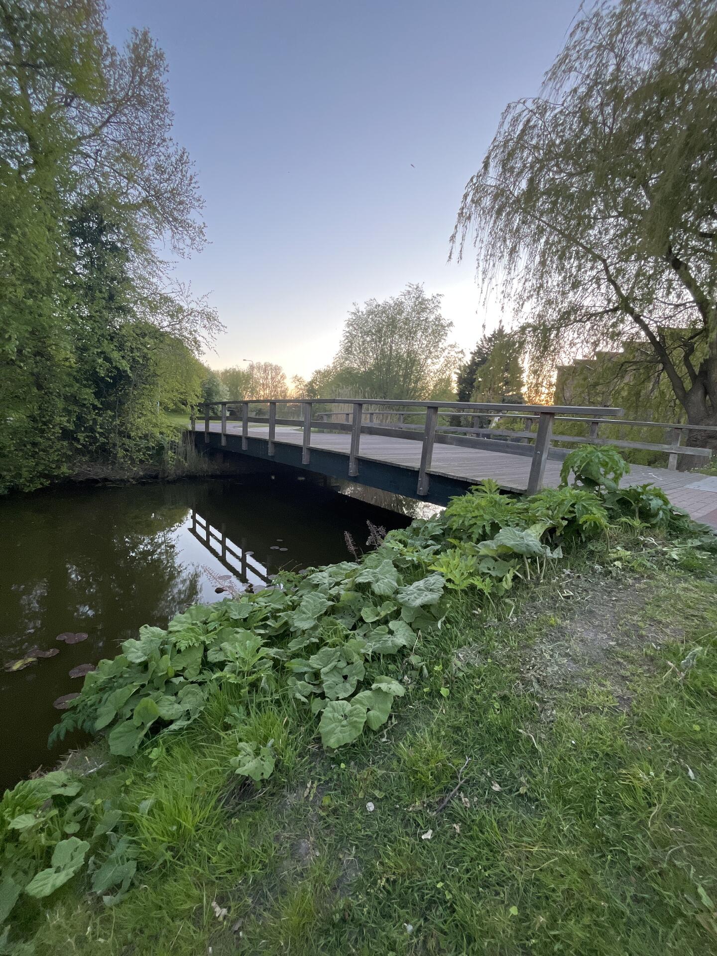 Foto bij melding 5060982 · Groenonderhoud