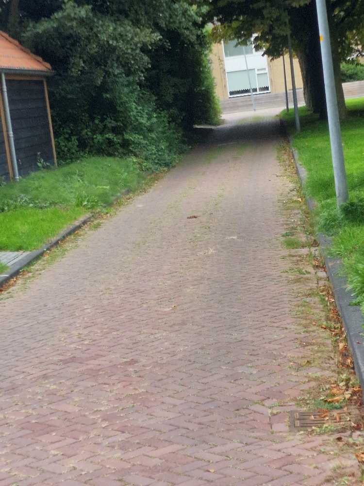Foto bij melding 5606367 · Openbaar groen