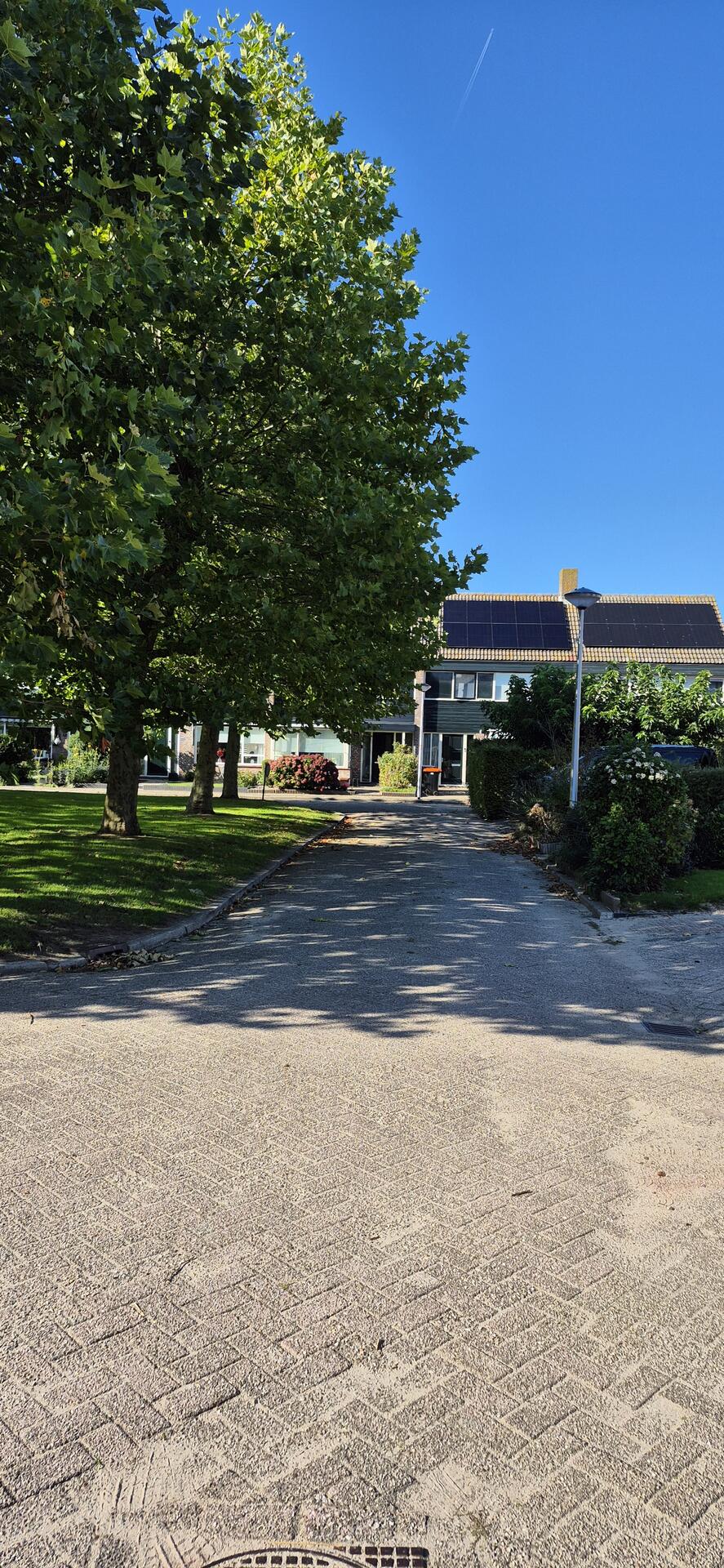 Foto bij melding 5617974 · Openbaar groen