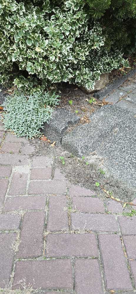 Foto bij melding 5611870 · Wegen, fietspaden, en stoepen