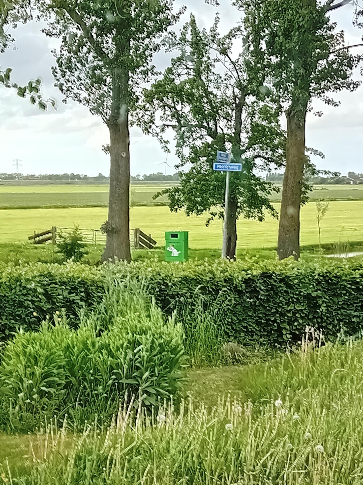 Foto bij melding 5104311 · Openbaar groen