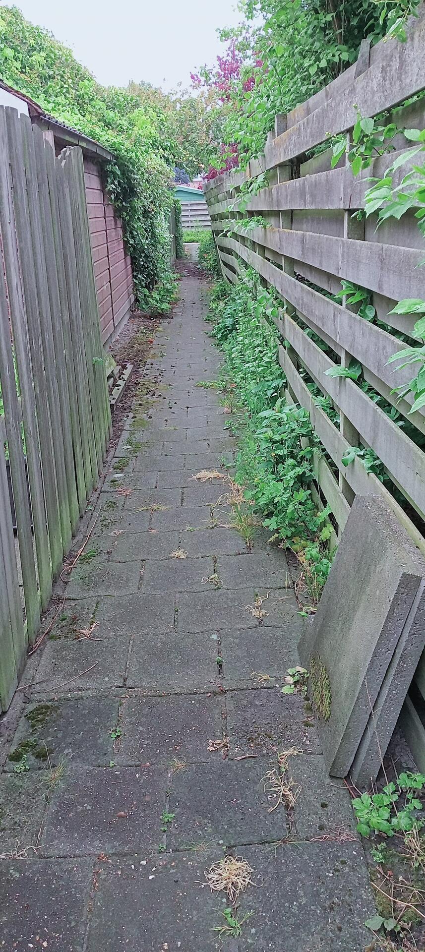 Foto bij melding 5118198 · Openbaar groen