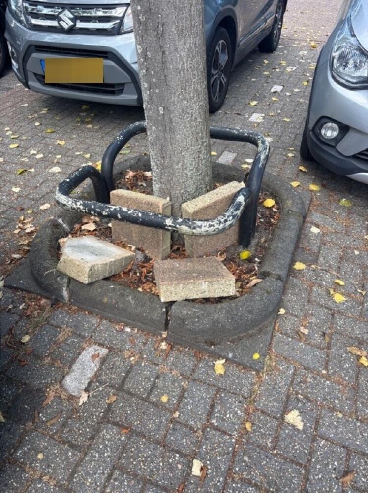 Foto bij melding 5447957 · Afval en zwerfvuil