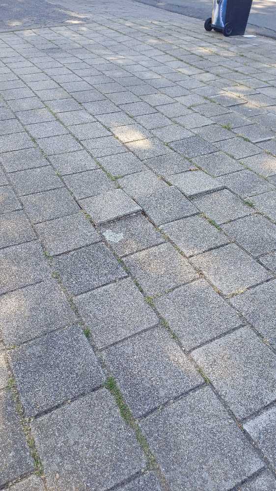 Foto bij melding 5504654 · Wegen en paden