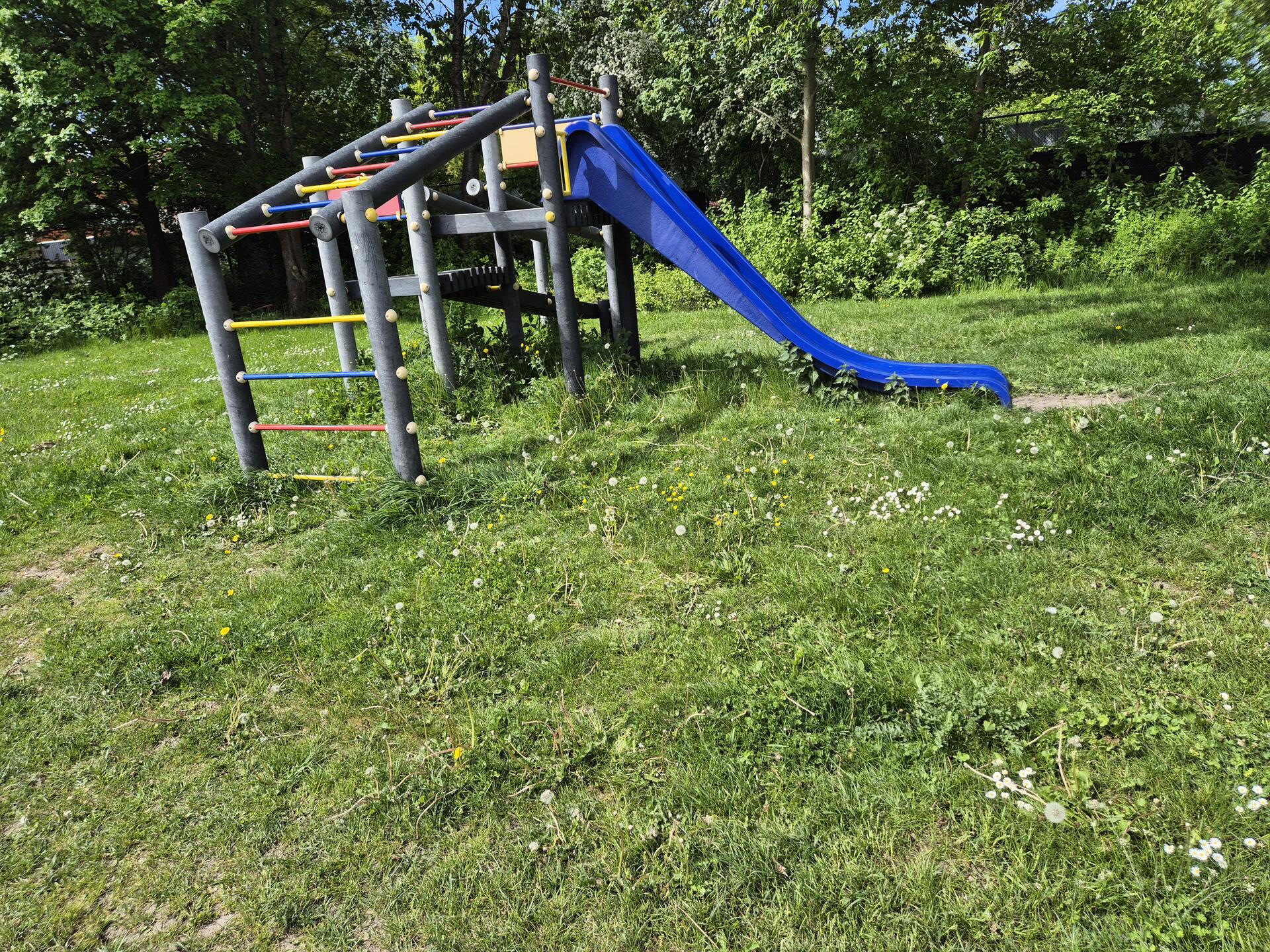 Foto bij melding 5080171 · Openbaar groen