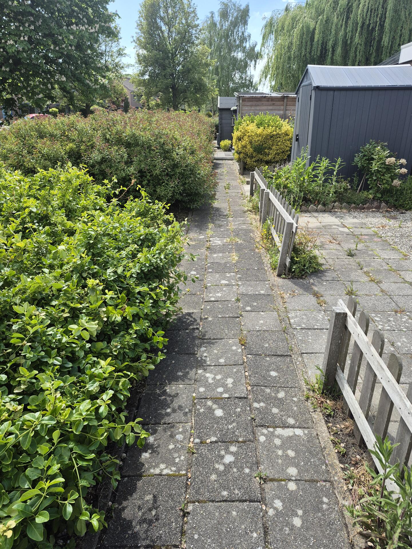Foto bij melding 5124767 · Openbaar groen
