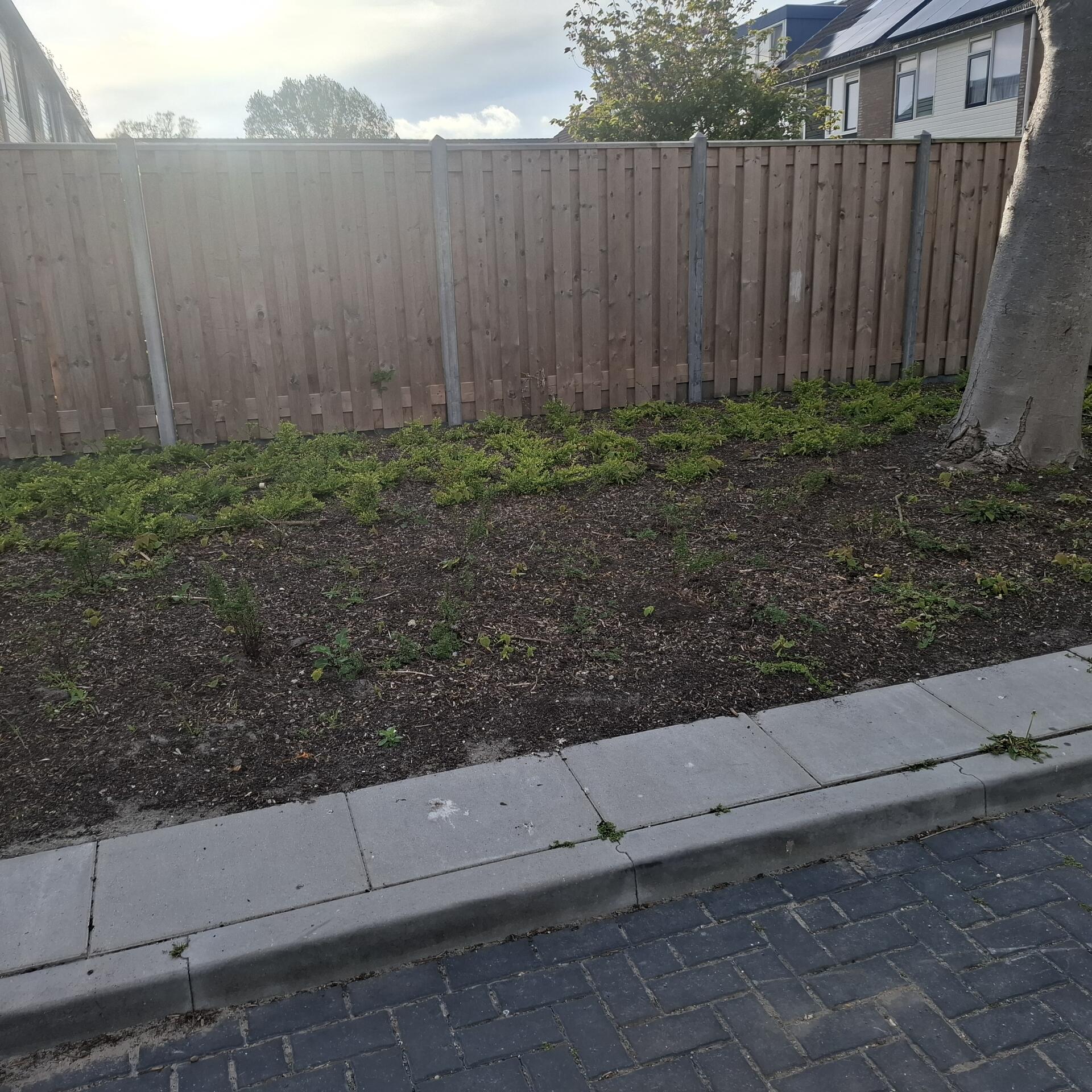 Foto bij melding 5076713 · Groenonderhoud