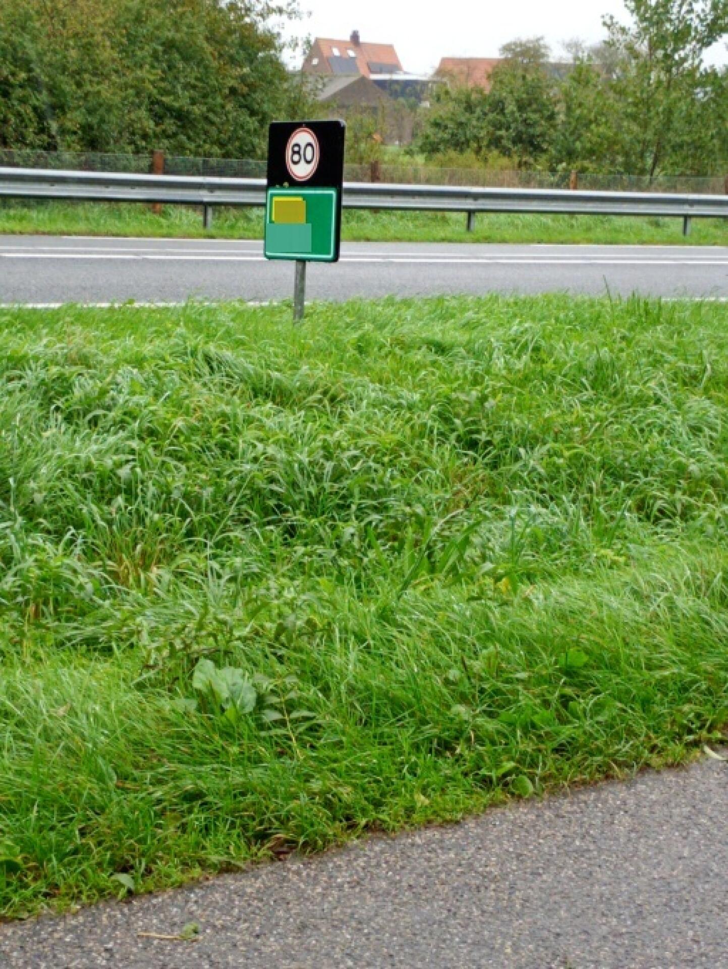 Foto bij melding 5675260 · Openbaar groen