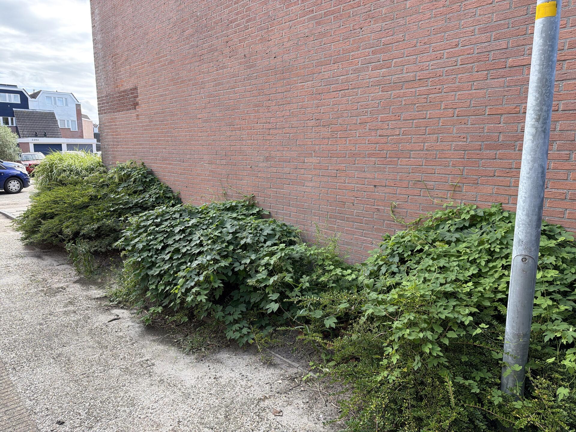 Foto bij melding 5535327 · Groenonderhoud