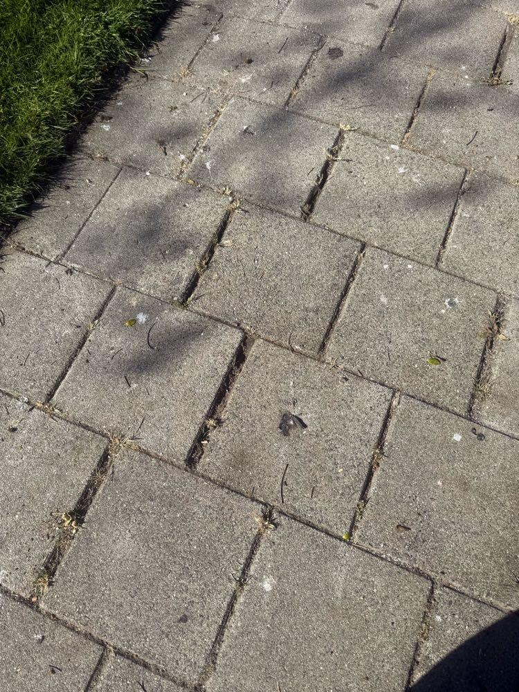 Foto bij melding 5066185 · Wegen, fietspaden, en stoepen