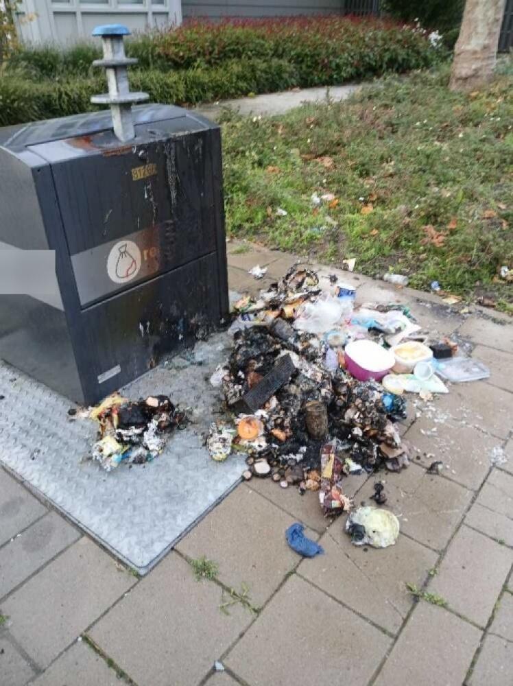 Foto bij melding 5675684 · Afval/Hondenpoep/Ongedierte/Dode dieren