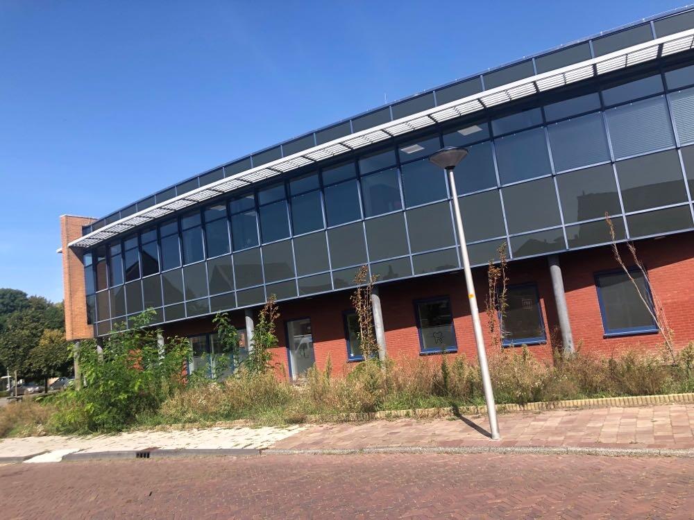 Foto bij melding 5550501 · Openbaar groen