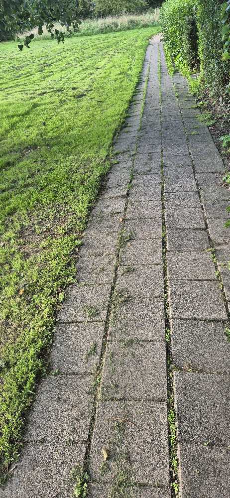 Foto bij melding 5585293 · Wegen/Stoepen