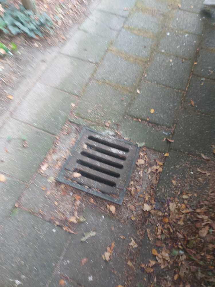 Foto bij melding 5609728 · Riolering